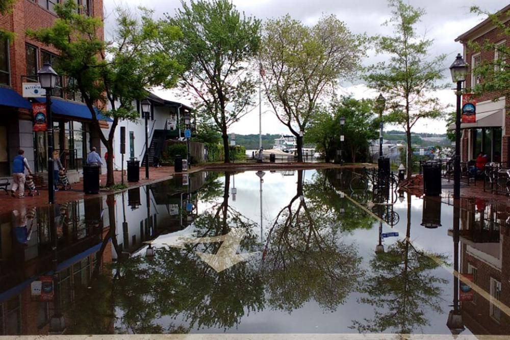 Photo of high tide flooding in Alexandria, Virginia.