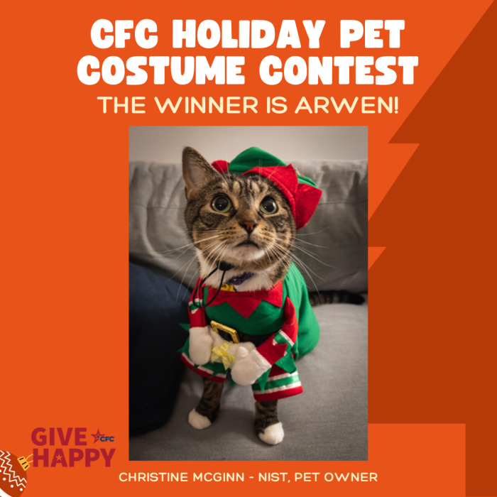 CFC假日宠物服装大赛的获胜者是Arwen！