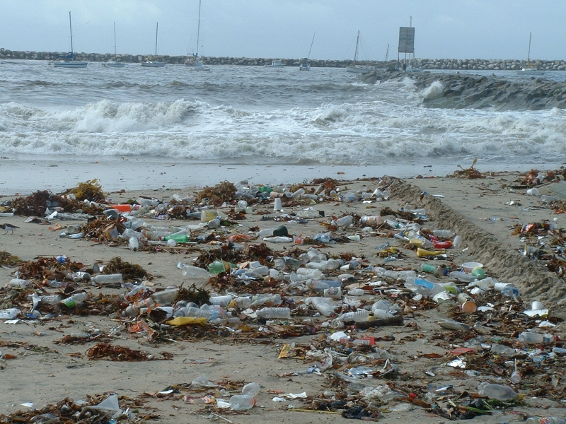 The Impact of Plastic in the Ocean & How You Can Help