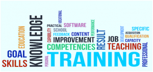 Training Knowledge Teaching Results Goal Skills Job Competency Improvement