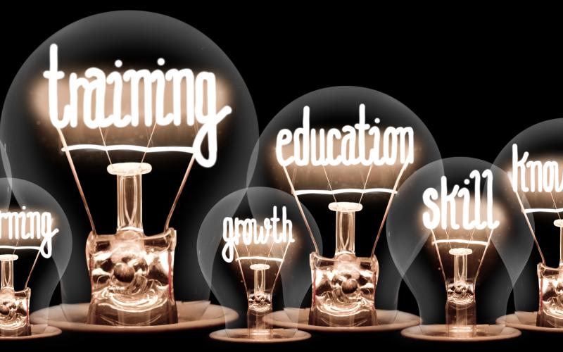 image of light bulbs with these words coming out like: development, learning, training, growth, education, skill, knowledge, goal