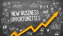 New Business Opportunities