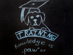 Training - Knowledge is power