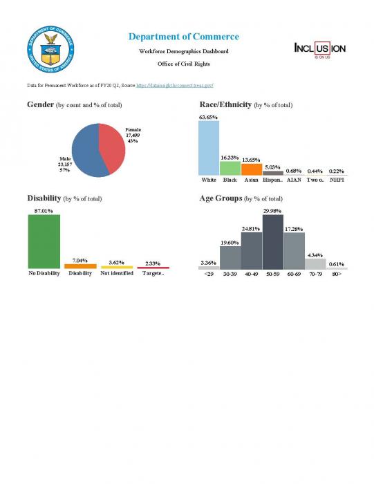 workforce demographics data by gender, race/ethnicity, disability and age group