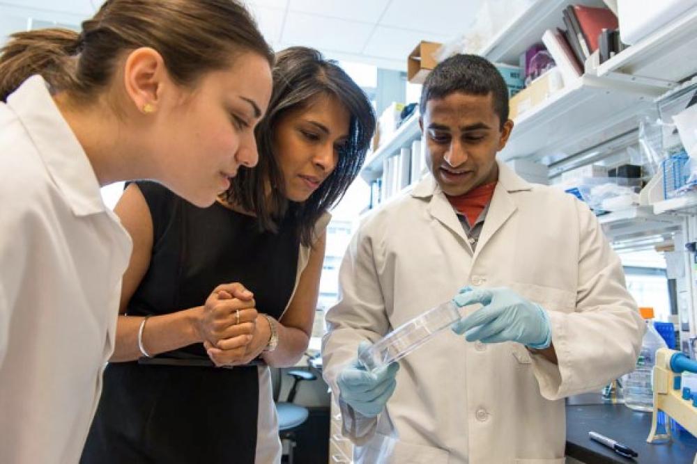 Sangeeta Bhatia and her students have explored the use of CRISPR-Cas9, a genome editing tool, for the treatment of hepatitis B. (Image courtesy of Justin Knight)