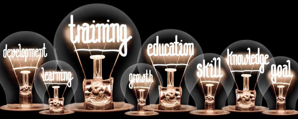 image of light bulbs with these words coming out like: development, learning, training, growth, education, skill, knowledge, goal