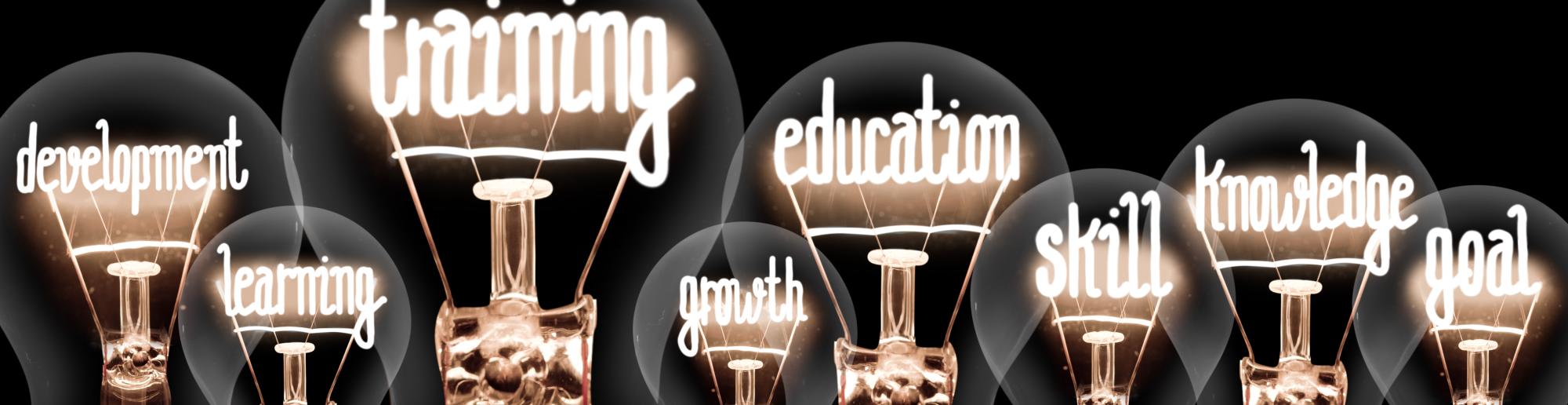 image of light bulbs with these words coming out like: development, learning, training, growth, education, skill, knowledge, goal