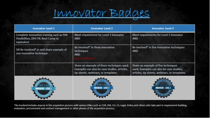 Innovator Badge requirements