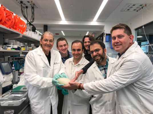Rothblatt, left, and the team at United Therapeutics’ Organ Manufacturing Group in Manchester, N.H., holding a lung they are able to 3D-print from human collagen fiber grown in genetically modified tobacco plants with the help of Texas A&M University (Photo Courtesy of United Therapeutics).