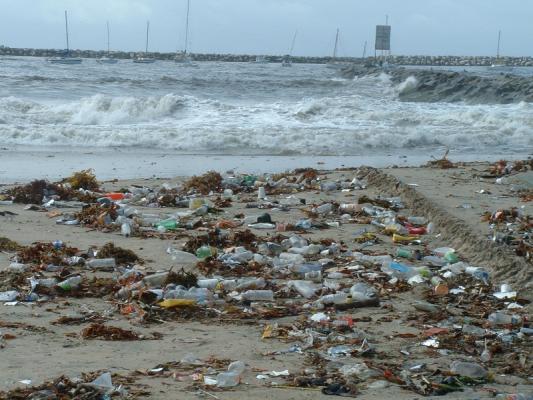 Photo of plastic bottles and marine debris on beach.
