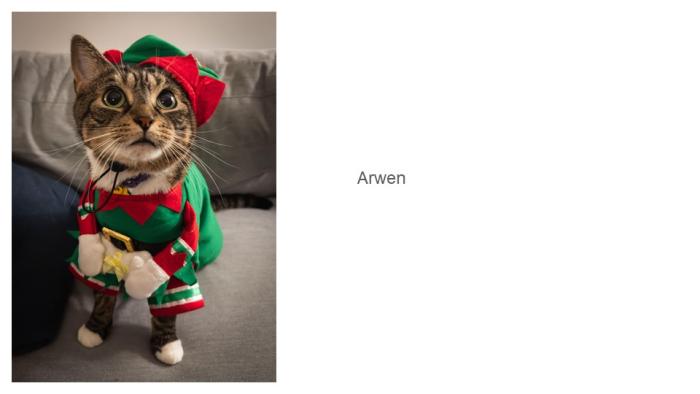 Arwen