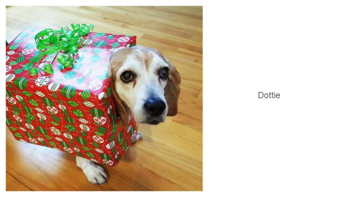 Dottie