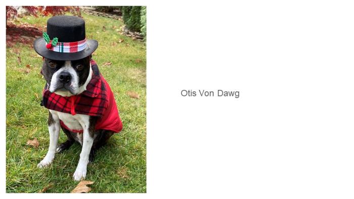 Otis Von Dawg