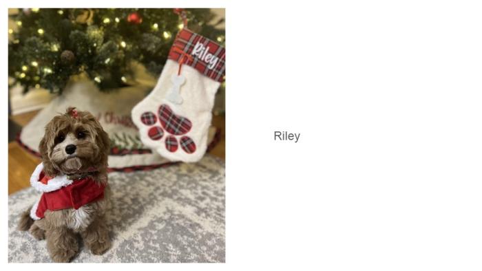 Riley