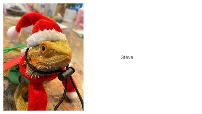 Steve