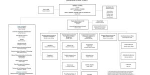 OGC Org Chart 06-13-25